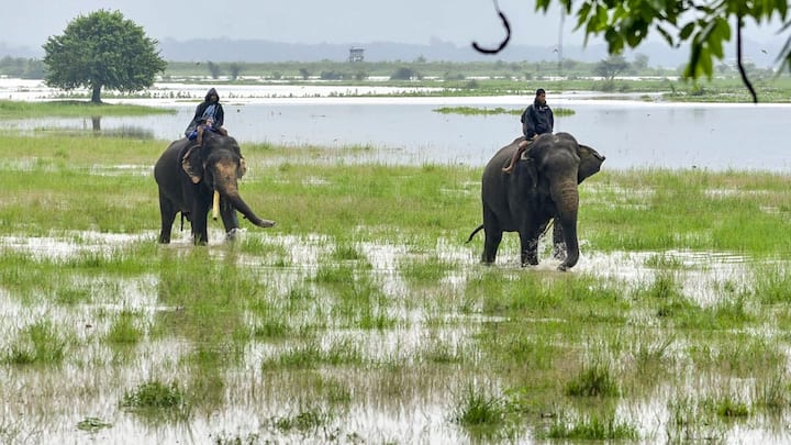 ইতিমধ্যেই প্রচুর মানুষকে নিরাপদ আশ্রয়ে সরিয়ে নিয়ে যাওয়া হয়েছে। তাঁদের গরম খাবারও খেতে দেওয়া হয়েছে। বাচ্চাদের প্রতিও বিশেষ যত্ন নেওয়া হয়েছে। এদিকে একটানা ভারী বর্ষণে সড়ক, রেল এবং নদীপথ সবই প্রায় অবরুদ্ধ।