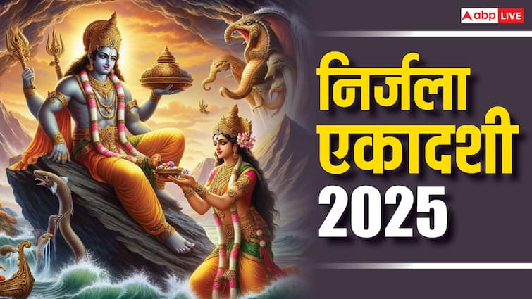 Nirjala Ekadashi 2025 offer water to Peepal amla tree on ekadashi significance Nirjala Ekadashi 2025: निर्जला एकादशी पर इन पेड़ों पर जरुर चढ़ाएं जल, इसके बिना अधूरा है व्रत