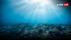 Indonesia News: समंदर की गहराई में छिपी थी 1.4 लाख पुरानी दुनिया! वैज्ञानिकों ने कर दिया चमत्कार, ढूंढ निकाली