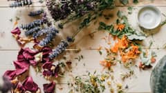 8 DIY Natural Room Fresheners For Monsoon