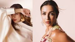 सूरज ढलने के बाद कुछ नहीं खाती हैं मलाइका अरोड़ा, फिटनेस के लिए फॉलो करती हैं ये डाइट