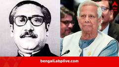 মুক্তিযোদ্ধা নন বঙ্গবন্ধু মুজিব? বাংলাদেশে পাল্টে গেল স্বাধীনতা সংগ্রামীর সংজ্ঞা, বিতর্কে ইউনূস সরকার বলল…