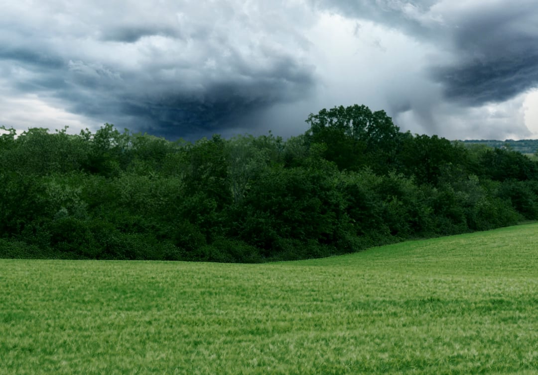 When will the monsoon enter Gujarat, know what the Meteorological Department has predicted Gujarat Monsoon:ગુજરાતમાં ચોમાસાની ક્યારે થશે એન્ટ્રી? હજુ કેટલી જોવી પડશે રાહ,જાણો શું છે અનુમાન