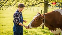 Vastu Tips For Daily: रोजमर्रा के जीवन में इन 9 कामों को करने से मिलती है सफलता, देखें फोटो