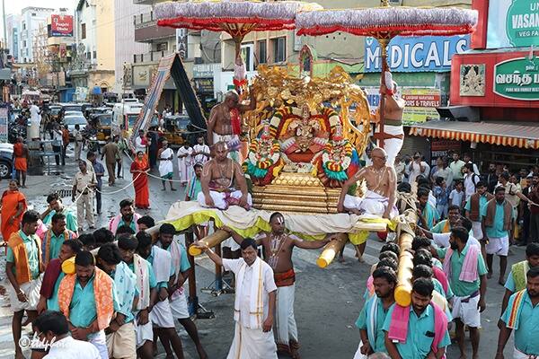 Tirupati: తమకు కాసిన ఫలాలు ఇస్తాయి పండ్లు చెట్లు..కోరిన ఫలాన్నిస్తుంది కల్పవృక్షం - ఈ సేవ వెనుకున్న ఆంతర్యం ఇదే!