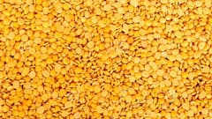 दाल डिब्बे में रखते ही लग जाते हैं कीड़े? ये कमाल के टिप्स आएंगे आपके काम