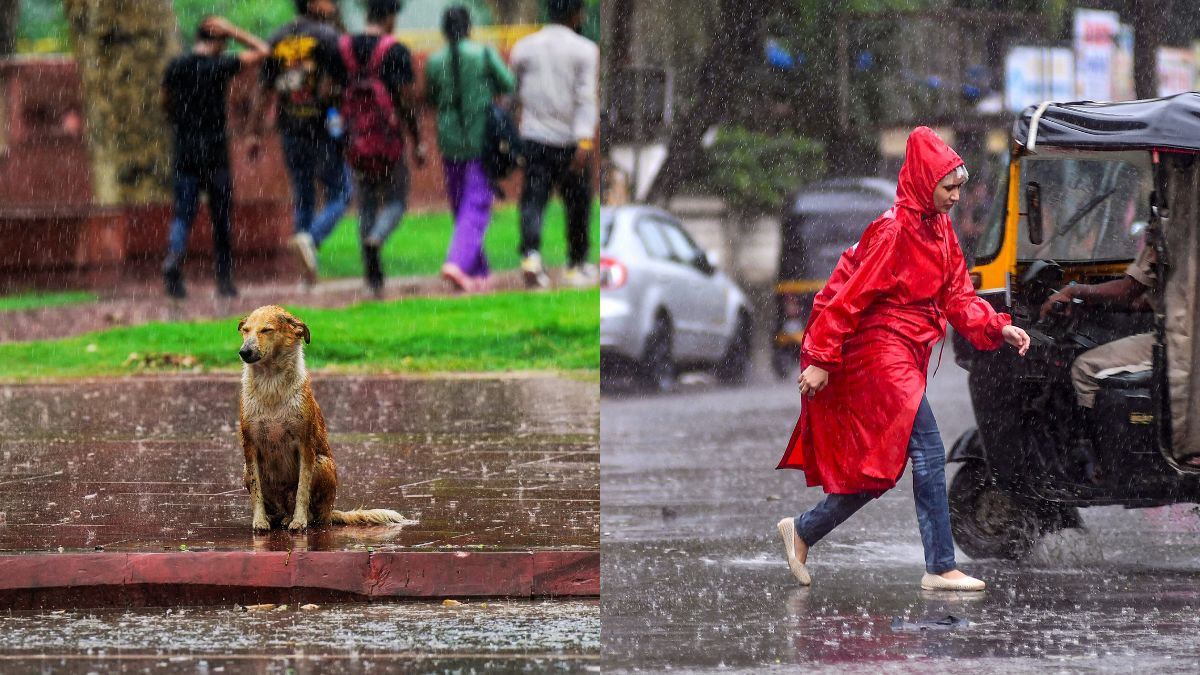 बिहार के 19 जिलों में बारिश और 7 में गरज के साथ आंधी की भी चेतावनी, मौसम को लेकर आया IMD का बड़ा अपडेट