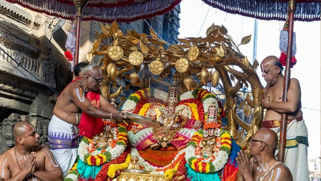 Kalpavriksha Vahana Seva in Tirupati as a part of the ongoing annual brahmotsavams in Sri Govindaraja Swamy temple Tirupati: తమకు కాసిన ఫలాలు ఇస్తాయి పండ్లు చెట్లు..కోరిన ఫలాన్నిస్తుంది కల్పవృక్షం - ఈ సేవ వెనుకున్న ఆంతర్యం ఇదే!