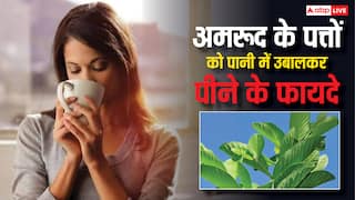 रोजाना अमरूद के पत्तों को पानी में उबालकर पीने से मिलेंगे 5 जबरदस्त फायदे, जानिए सेवन का तरीका