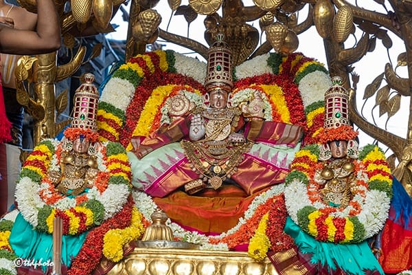 Tirupati: తమకు కాసిన ఫలాలు ఇస్తాయి పండ్లు చెట్లు..కోరిన ఫలాన్నిస్తుంది కల్పవృక్షం - ఈ సేవ వెనుకున్న ఆంతర్యం ఇదే!
