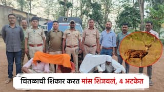 चितळची शिकार, पातेल्यात शिजवलं मांस; वन विभागाने टाकली धाड, चौघांना अटक