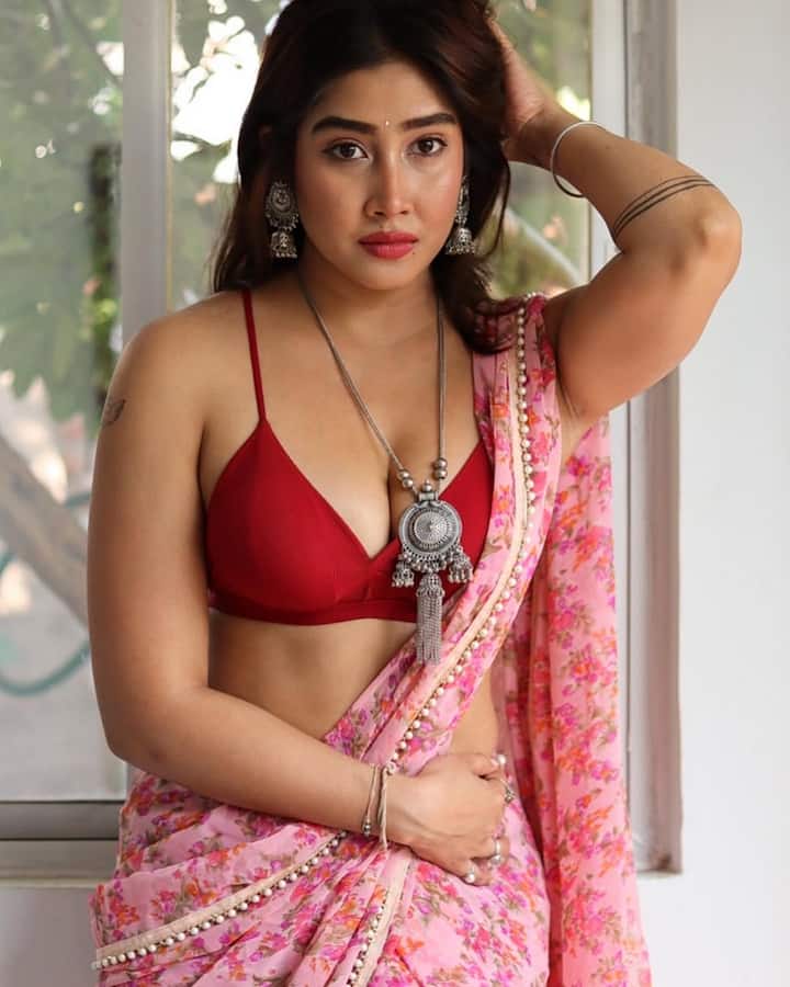 सोफिया ने स्लीवलेस ब्लाउज के साथ पिंक रंग की साड़ी पहनी. साथ में उन्होंने ज्वेलरी भी कैरी की, जो लुक को और निखार रहा था