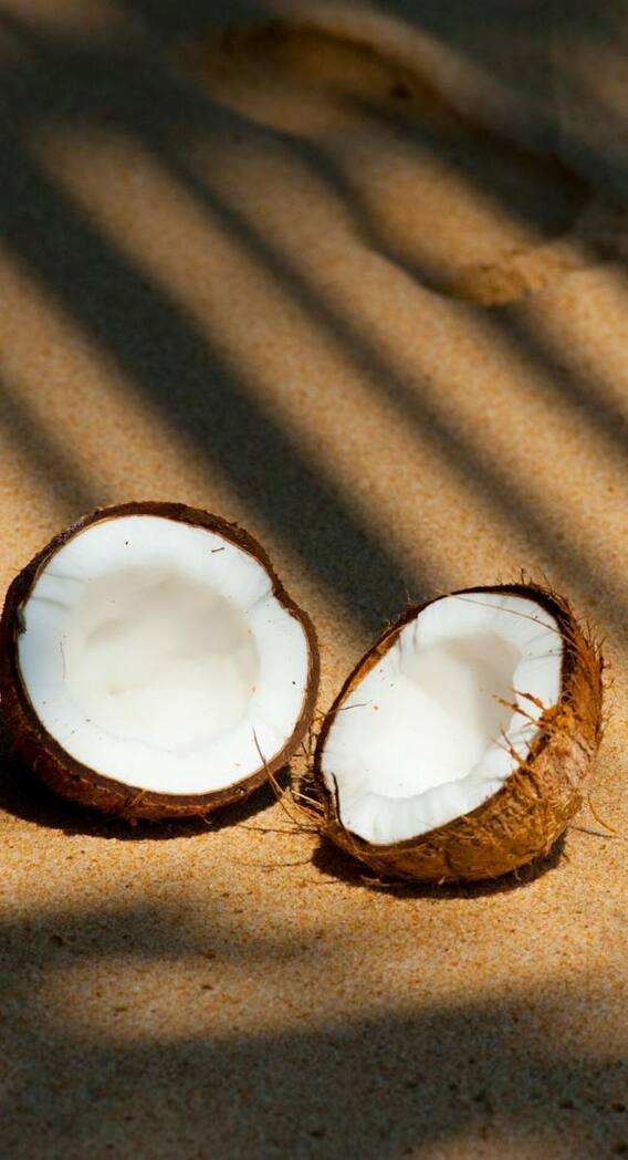 शरीर पर नारियल तेल लगाने के ये हैं फायदे