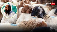 भारत के खौफ में PoK सरकार, बकरीद से पहले आतंकियों को किया पाई-पाई के लिए मोहताज, न पैसा मिल रहा और न...