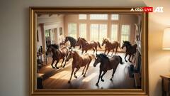 Feng Shui Vastu Tips: घर में इन 10 चीजों को रखने से वास्तु दोष की समस्या होगी खत्म, जानिए फेंग शुई से जुड़े ये उपाय