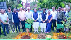 Odisha Govt To Plant 7.5 Crore Saplings To Combat Climate Change: CM Majhi