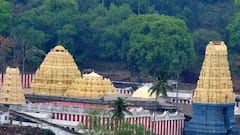 నృసింహ జయంతి , జ్యేష్ఠ పౌర్ణమి సహా వారం పాటూ సింహాచలంలో వరుస ఉత్సవాలు- దర్శన వేళల్లో మార్పులు!