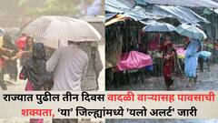 पुन्हा पावसाचा जोर वाढणार! राज्यात पुढील तीन दिवस वादळी वाऱ्यासह पावसाची शक्यता, मुंबई, पुण्यासह 'या' जिल्ह्यांमध्ये 'यलो अलर्ट' जारी