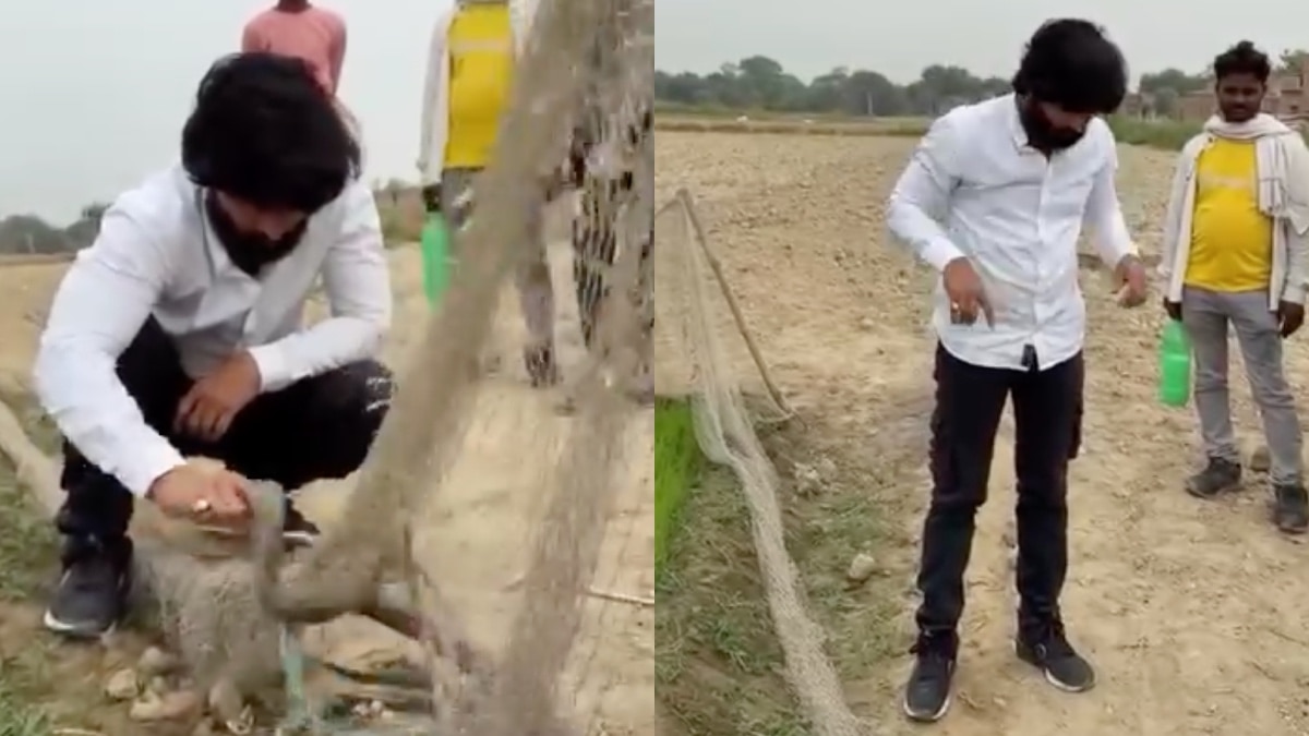 पॉपुलर यूट्यूबर मुरलीवाले हौसला को किंग कोबरा ने डसा, जाल में फंसे सांप का रेस्क्यू करने गए थे, ICU में भर्ती