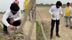 YouTuber Murliwale Hausla, Who Saved 8,000 Snakes, Bitten By Cobra