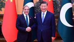 'US को दशकों तक बनाया बेवकूफ, अब चीन की बारी', पाकिस्तान का जिक्र कर पूर्व IAF ऑफिसर ने कही बड़ी बात