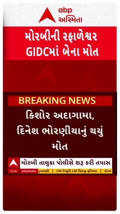 Morbi GIDC : રફાળેશ્વર GIDCમાં છાપરા પરથી નીચે પડી જતાં 2ના મોત, જુઓ શોર્ટ વીડિયો