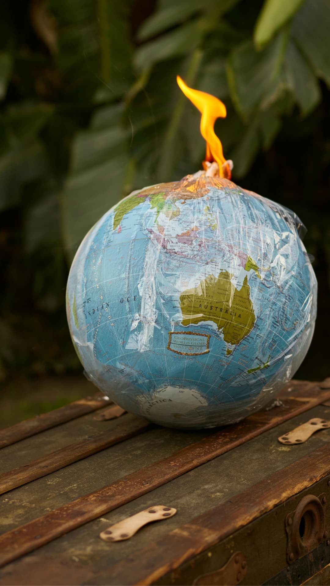 World Environment Day 2025 —