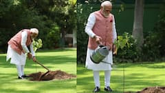 বিশ্ব পরিবেশ দিবসে সিঁদুর গাছের চারা লাগালেন মোদি, দিলেন বিশেষ বার্তা