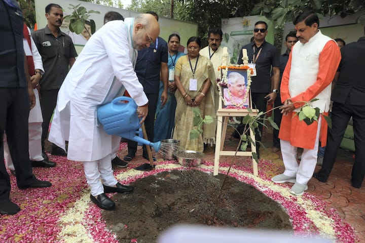যদি আপনার মা আপনার সঙ্গে না থাকেন, তাহলে আপনি তার ছবির সঙ্গে একটি সেলফিও তুলতে পারেন। এই প্রচার অভিযানের অফিসিয়াল ওয়েবসাইটে তা আপলোড করতে পারেন। এটি অন্যদের অনুপ্রাণিত করবে। এর জন্য, আপনাকে সরকারি প্রশাসন কর্তৃক নির্ধারিত স্থানে গাছ লাগাতে হবে ও সরকার এটির যত্ন নেবে। এখানে চারা রোপণ করছেন স্বরাষ্ট্রমন্ত্রী অমিত শাহ (ফাইল ছবি)