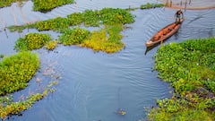 World Environment Day 2025 — 5 Tourist Places In Assam To Reconnect With Nature