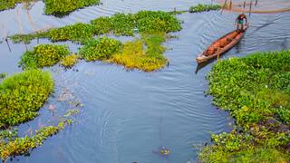 World Environment Day 2025 — 5 Tourist Places In Assam To Reconnect With Nature