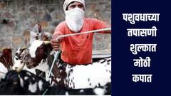 पशुवधाच्या तपासणी शुल्कात मोठी कपात, आमदार रईस शेख यांच्या पाठपुराव्याला यश, अजित पवारांच्या निर्णयाचे स्वागत