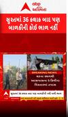 Surat Dog Attack : કૂતરુ ખેંચી ગયાના 36 કલાક બાદ પણ બાળકીની કોઈ ભાળ નહીં