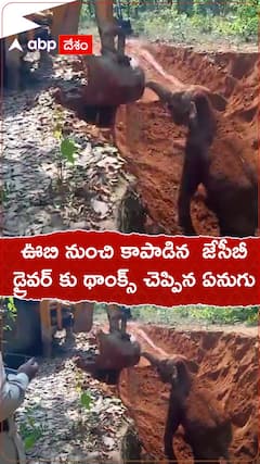 ఊబి నుంచి కాపాడిన జేసీబీ డ్రైవర్ కు థాంక్స్ చెప్పిన ఏనుగు