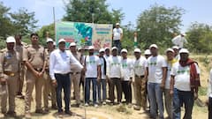 विश्व पर्यावरण दिवस पर फिरोजाबाद में लगाए गए 500 पौधे, वन विभाग की तरफ से हुआ कार्यक्रम