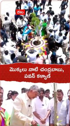 Chandrababu, Pawan Kalyan Planted Saplings
