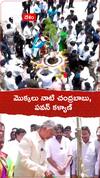 Chandrababu, Pawan Kalyan Planted Saplings