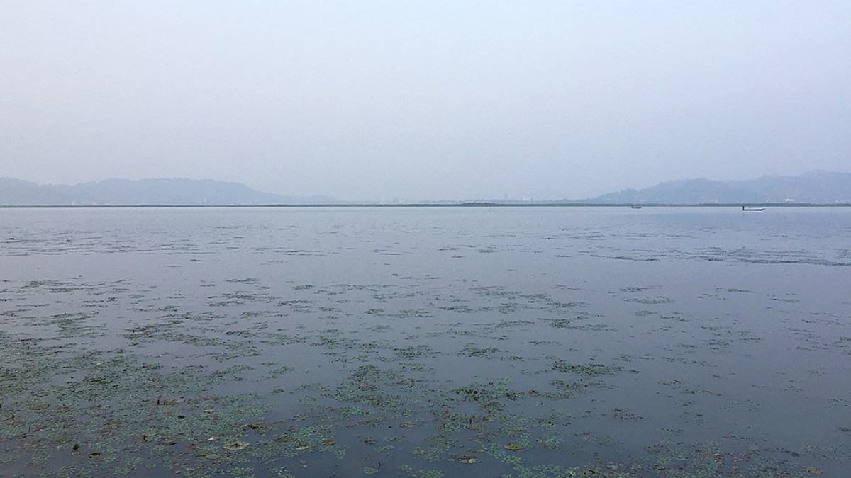 (Image Source: Twitter/ incredibleindia)