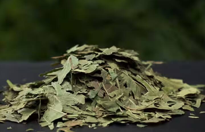 ਤੁਸੀਂ ਆਪਣੇ ਦਾਲ ਦੇ ਡੱਬੇ ਵਿੱਚ ਤਿੰਨ ਜਾਂ ਚਾਰ ਸੁੱਕੇ ਨਿੰਮ ਦੇ ਪੱਤੇ ਵੀ ਪਾ ਸਕਦੇ ਹੋ। ਜਿਵੇਂ ਕਿ ਹਰ ਕੋਈ ਜਾਣਦਾ ਹੈ, ਨਿੰਮ ਵਿੱਚ ਐਂਟੀਬੈਕਟੀਰੀਅਲ ਗੁਣ ਹੁੰਦੇ ਹਨ। ਨਿੰਮ ਦੇ ਕੀਟ-ਰੋਧੀ ਗੁਣ ਦਾਲ ਵਿੱਚ ਕੀੜਿਆਂ ਨੂੰ ਵਧਣ ਤੋਂ ਰੋਕਦੇ ਹਨ। ਤੁਹਾਨੂੰ ਦੱਸ ਦਈਏ ਕਿ ਇਸ ਨਾਲ ਦਾਲ ਦੇ ਸੁਆਦ 'ਤੇ ਕੋਈ ਅਸਰ ਨਹੀਂ ਪਵੇਗਾ।