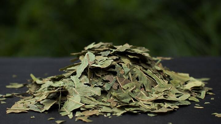 आप अपने दाल के डिब्बे में तीन-चार सूखी नीम की पत्तियां भी डाल सकते हैं. जैसा कि सभी को पता है नीम में एंटीबैक्टीरियल गुण होते हैं. नीम की एंटी इंसेक्ट गुण दाल में कीड़ों को पनपने से रोकोंगे. बता दें इससे दाल के स्वाद पर कोई असर नहीं पड़ेगा.