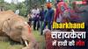 झारखंड के सरायकेला जिले में खेत में मृत पाया गया हाथी, ग्रामीणों ने वन विभाग पर लगाए गंभीर आरोप