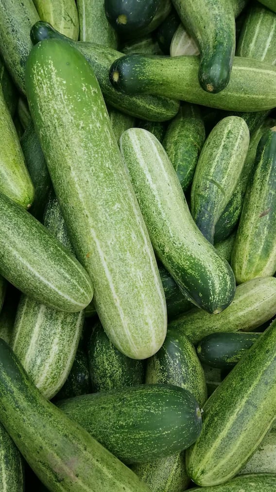 खीरा खाने का सही समय क्या है?