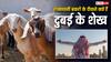 राजस्थान के बकरों को लाखों में क्यों खरीद रहे दुबई के शेख, आखिर इनमें क्या है इतना खास?