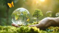 World Environment Day 2025 — Know History, Significance, And All About This Day