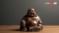 Feng Shui Vastu Tips: घर में इन 10 चीजों को रखने से वास्तु दोष की समस्या होगी खत्म, जानिए फेंग शुई से जुड़े ये उपाय