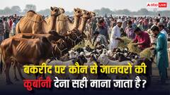 इस्लाम के मुताबिक बकरीद पर किन जानवरों की कुर्बानी देना सही माना जाता है? जानिए इसके बारे में