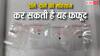 क्या है वो खतरनाक फफूंदी जो अमेरिका में पकड़ी गई? जानें कैसे भूखी मर सकती है दुनिया