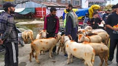 Eid-ul-Azha In Delhi: What’s Banned, What’s Allowed, And What Can Get You Penalised