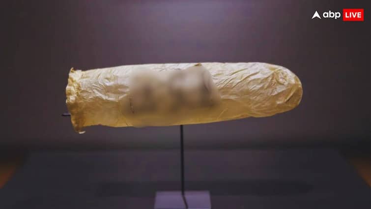 200-year old condom on display at Amsterdam museum made from sheep intestine know the price म्यूजियम में रखा गया 200 साल पुराना कंडोम, इस जानवर की आंत से किया गया था तैयार- जान लीजिए कीमत
