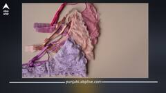 ਜੇ ਤੁਸੀਂ ਪੁਰਾਣੇ ਅੰਡਰਵਿਅਰ ਨੂੰ ਸਿੱਧਾ ਸੁੱਟ ਦਿੰਦੇ ਹੋ ਤਾਂ ਸਾਵਧਾਨ! ਅਜਿਹਾ ਕਰਨ ਨਾਲ ਹੁੰਦੇ ਇਹ ਨੁਕਸਾਨ, ਜਾਣੋ ਇਨ੍ਹਾਂ ਨੂੰ ਡੀਕੰਪੋਜ਼ ਕਰਨ ਦਾ ਸਹੀ ਤਰੀਕਾ